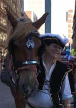 DSC00971.jpg