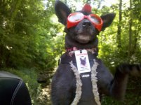 IMG_20120610_144304.jpg