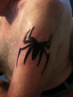 Spyder 005.jpg