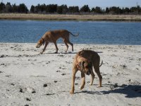 IMG_0014.jpg