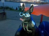 IMG_20120717_211136.jpg