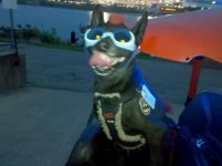 IMG_20120717_211131.jpg