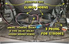 gl-horns.jpg