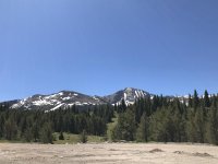 FDBF6A38-95F7-4D74-88C3-9DE1C17BE1D9.jpg