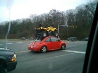 atv-on-bug.jpg