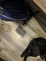 IMG_20181112_191926_01.jpg