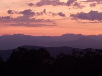 20190815_203946.jpg