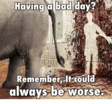 1FCABB34-443E-4B5B-9C34-9B38261A97CB.jpeg