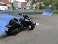 Skate-schräg-TS.jpg