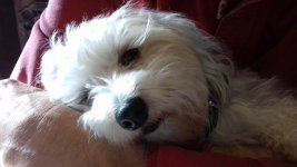 20181212_134606.jpg
