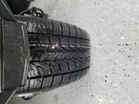 20190927_172458.jpg