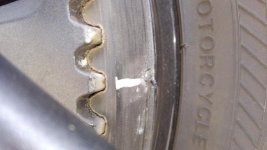 KIMG0333_02 belt.jpg