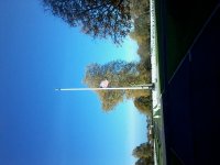 20181109_105214.jpg