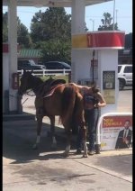improve_horsepower_2c14e34ba8dbd82fbfa27ba1b6bfc72f95995c85.jpg