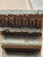 F3 belt 2.jpg
