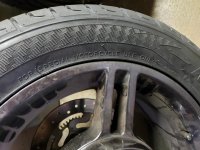 Kanine Tire 1.jpg