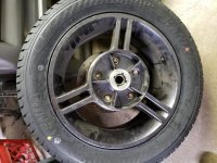 Kanine Tire 2.jpg