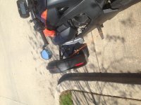 IMG_9586.jpg