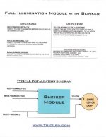 page 5.jpg