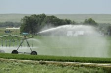 TDP-L-WATER-IN-THE-WEST-_HHR9160.JPG1.jpg