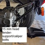 swing arm caliper bolts.jpeg
