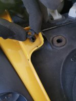 IMG_20200616_110301.jpg