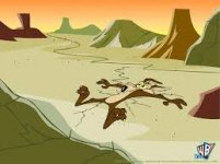 Wylie run over.jpeg