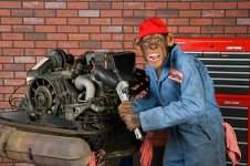 Monkey Mechanic.jpg