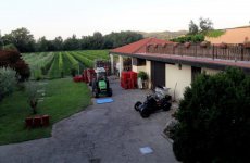 111weingut.jpg