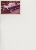 Mustang 002.jpg