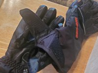 20201027_095230.jpg