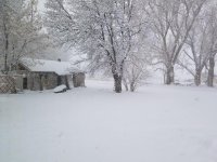 20201109_105013.jpg