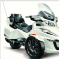 Gator37