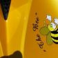 The Bee!!