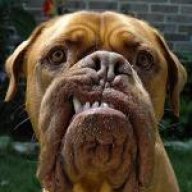 Mad_Dog603