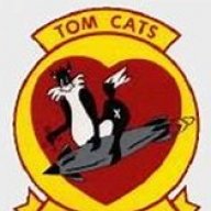 311tomcat