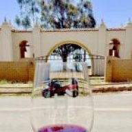 Merlot2015