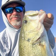 Ifishinxs