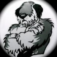 Bad Dog6