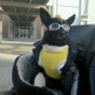 Mr.T