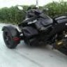 Dutch Spyder