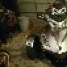 james36il2000