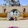 Merlot2015