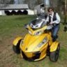 GoldenSpyder