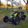 QuasiMotard
