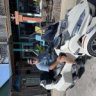 Waveridr33