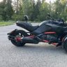 Pantera