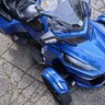 bluey rt ltd