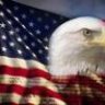 BaldEagle