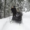 ARCTIC